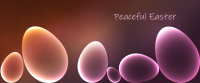baner